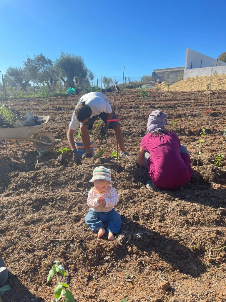Agroforestry assistance