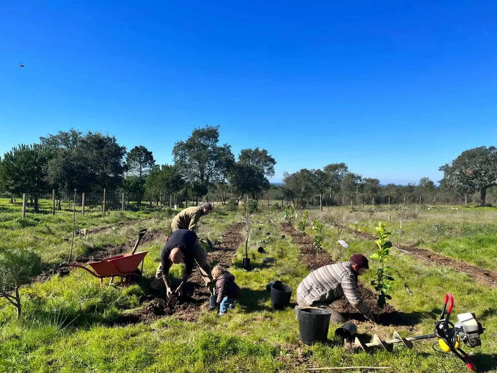 Agroforestry assistance
