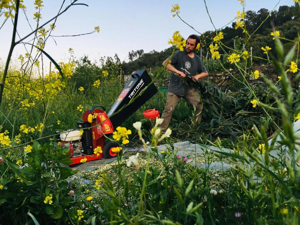 Agroforestry assistance