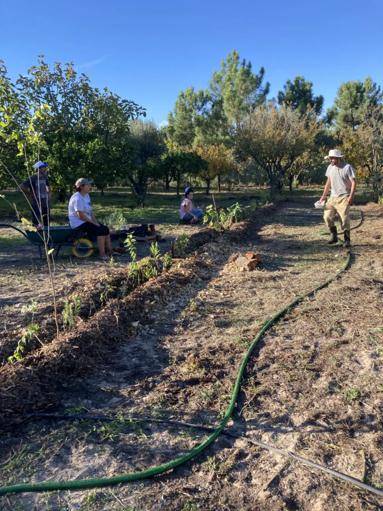 Agroforestry assistance