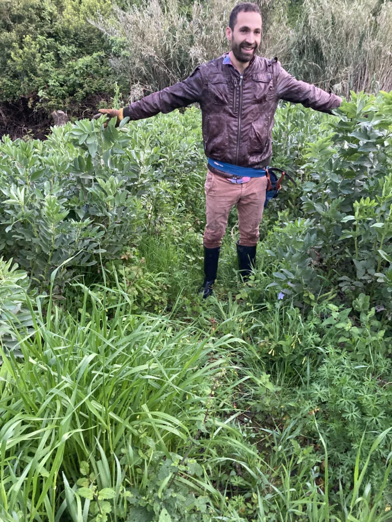 Agroforestry assistance