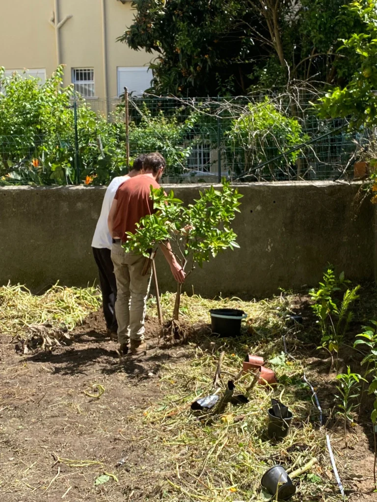 Agroforestry assistance
