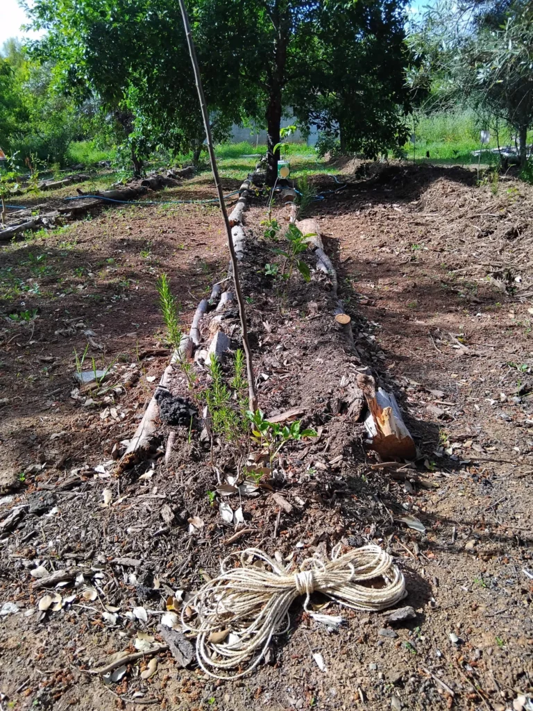 Agroforestry assistance