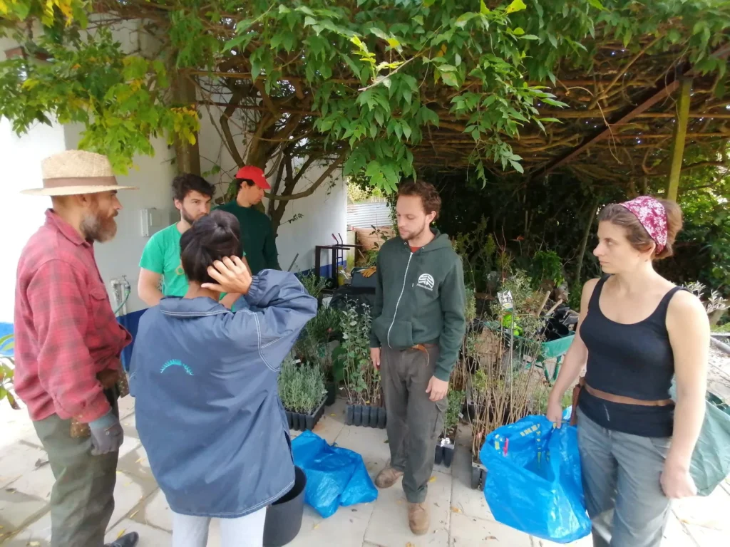 Agroforestry assistance