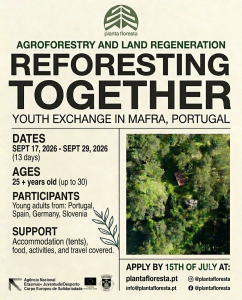 Reforesting together